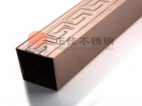 304彩色乐竞体育乐竞体育首页_乐竞(中国)管逐渐成为家装的新宠，势头迅猛